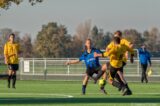 S.K.N.W.K. 3 - Duiveland 3 (comp.) seizoen 2022-2023 (20/48)